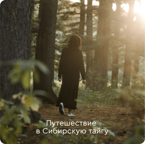 Изготовление СВОЕГО масла в Кедровом Доме